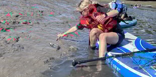Yealm Estuary seagrass meadow trial from 'castaway' plants